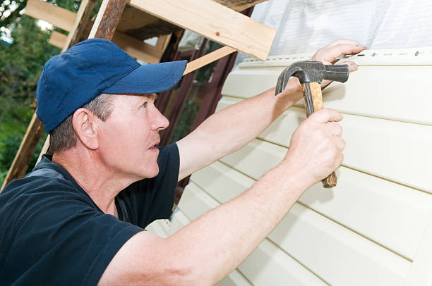 Best Vinyl Siding Installation  in Honolulu, HI